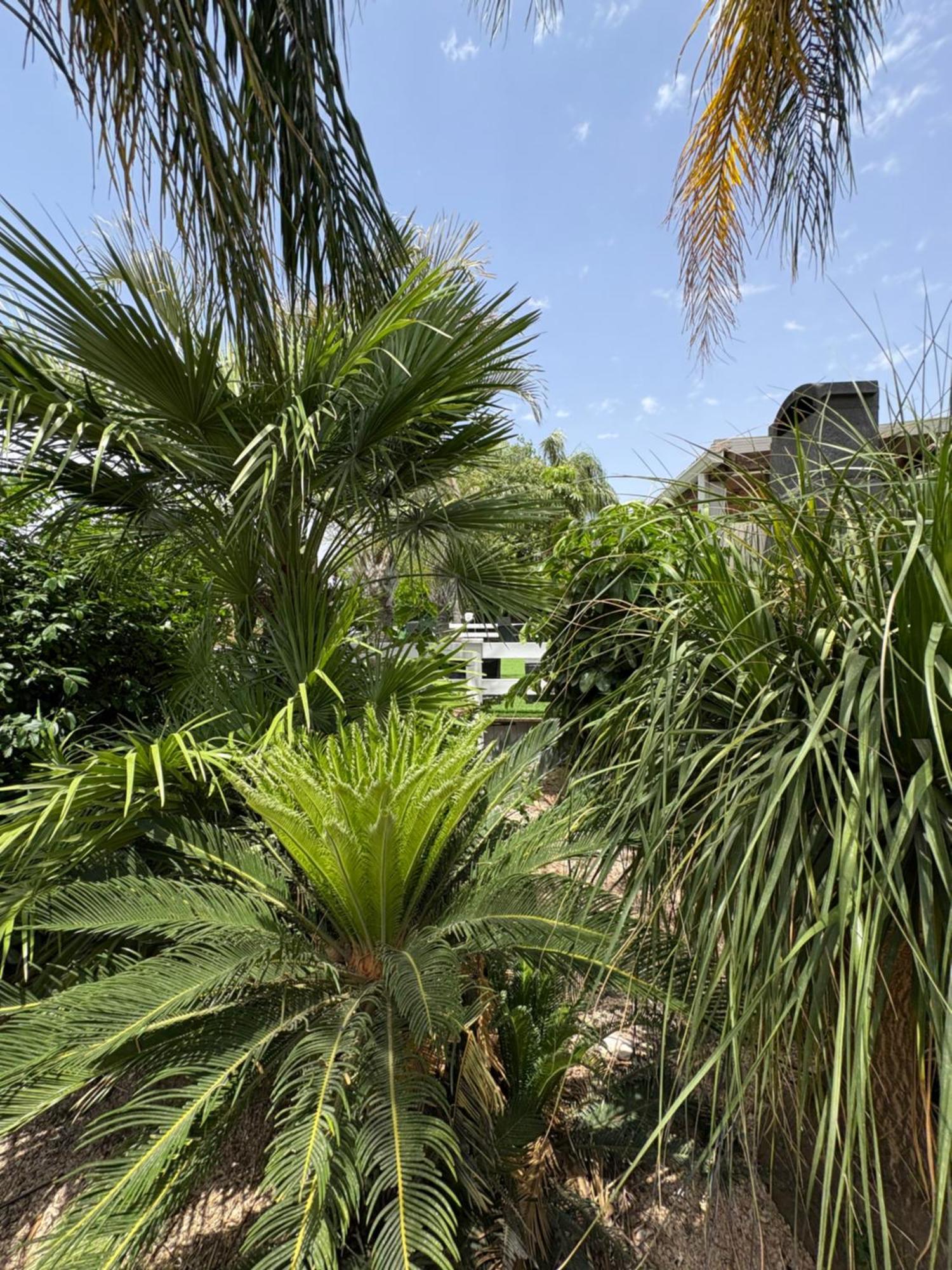 Kesem Bagolan Villa Had Nes Exterior foto