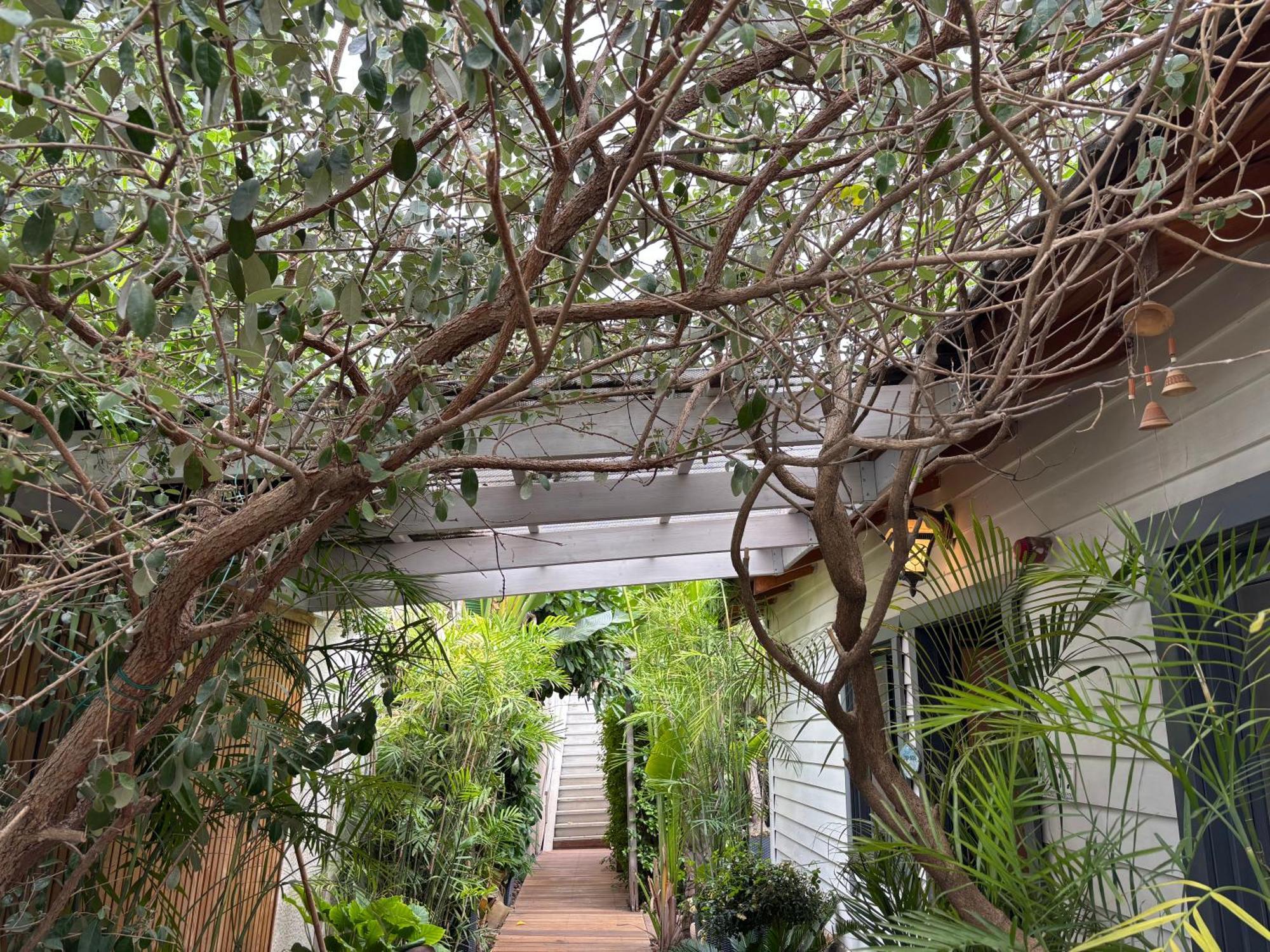 Kesem Bagolan Villa Had Nes Exterior foto